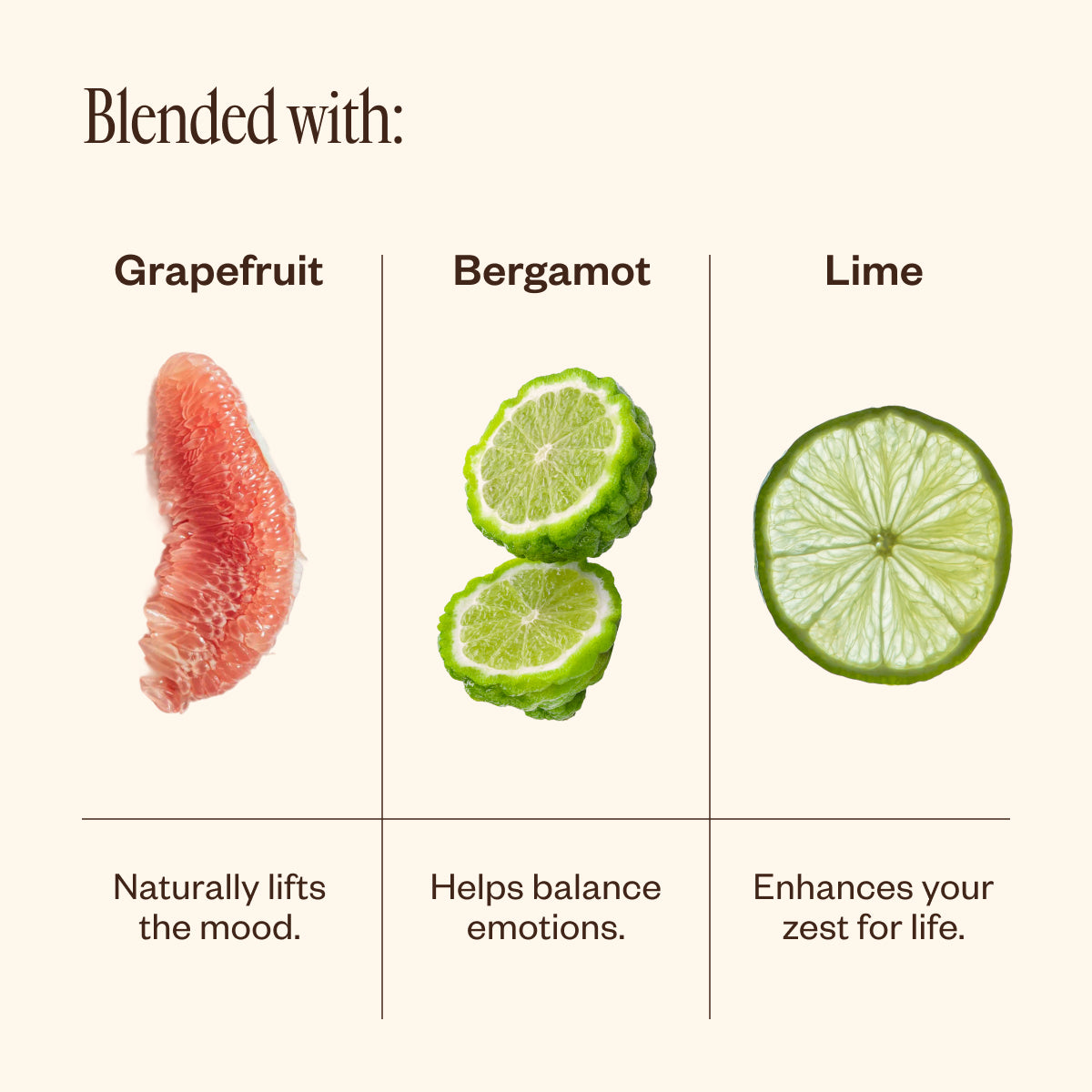 Zest Set